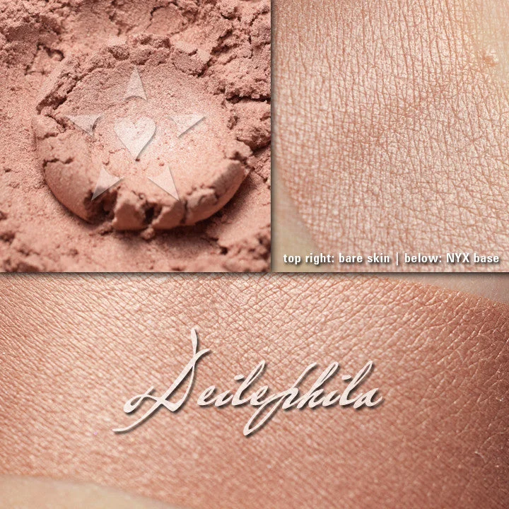 Overstock Sale DEILEPHILA - Multipurpose - Highlighter