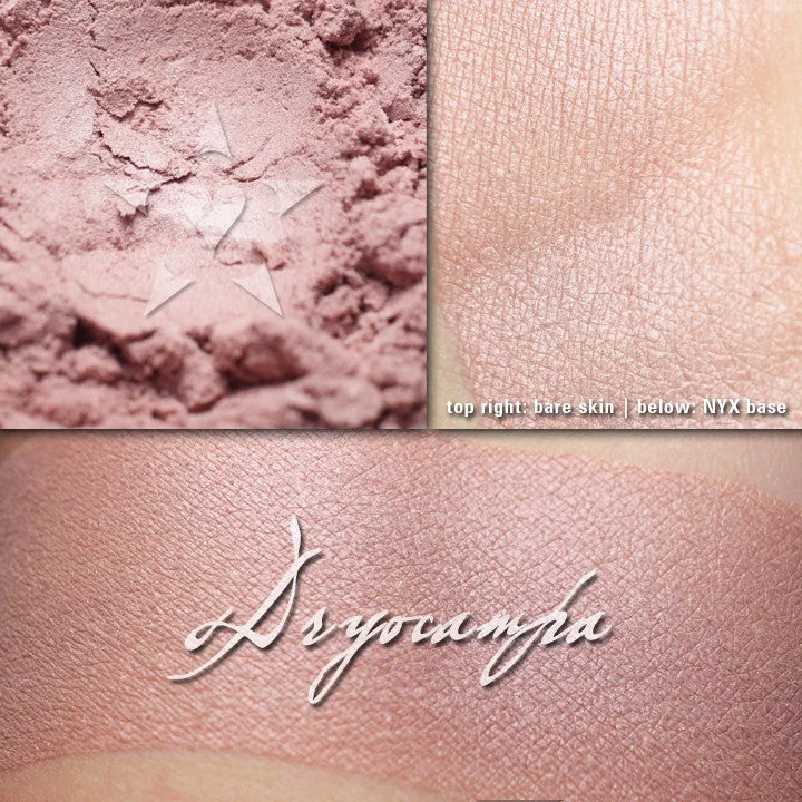 Amazing Deals DRYOCAMPA - Multipurpose - Highlighter