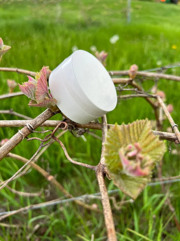 Exclusive Access Foundation Powder in our new Plastic Free 100% Biodegradable jar!