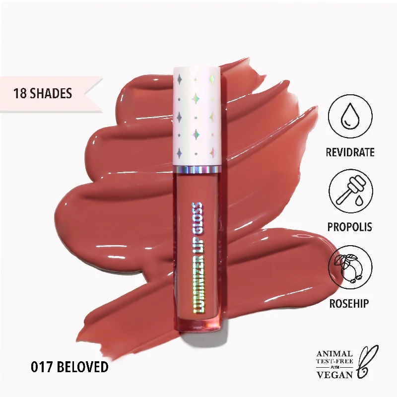 Special Price Luminizer Lip Gloss (017, Beloved)