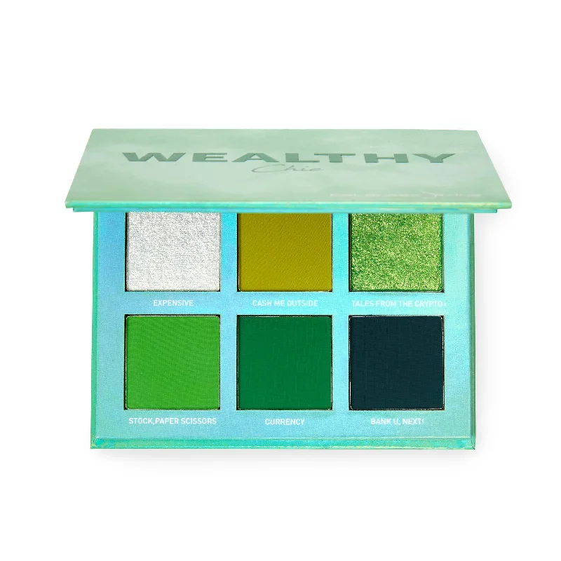 Price Reduction Wealthy Chic Pigment Palette